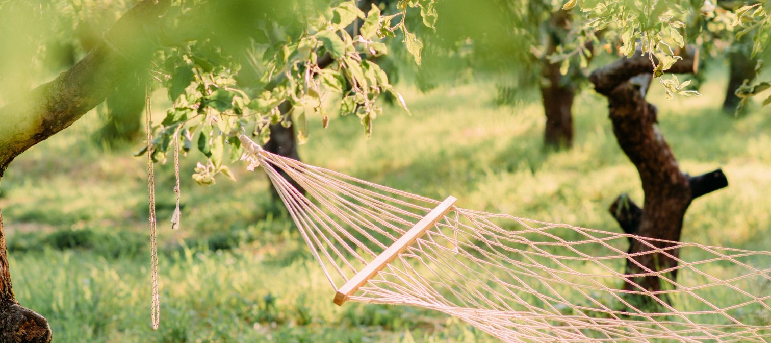 A hammock on a tree